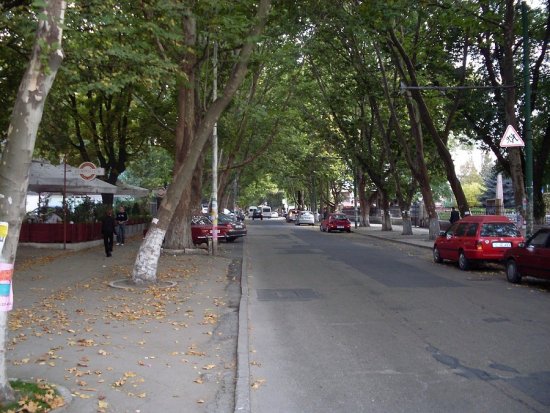 Столичная улица 31 августа 1989 года превратится в «зеленый коридор»