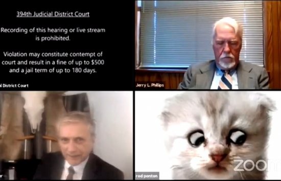 NO COMMENT: Адвокат из Техаса участвовал в онлайн заседании суда в виде КОТА