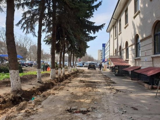 В Кишиневе будут модернизированы две зеленые зоны