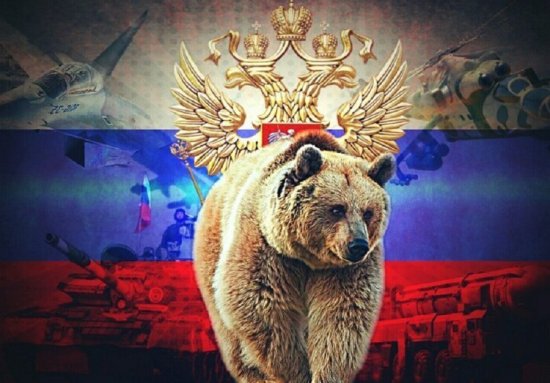 Die Welt: Запад недооценил Россию - через неимоверную боль она возродилась