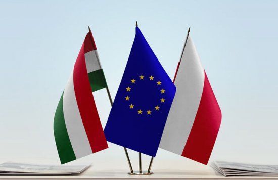 ЕС возбудил иски против Венгрии и Польше за то, что там защищают традиционные ценности