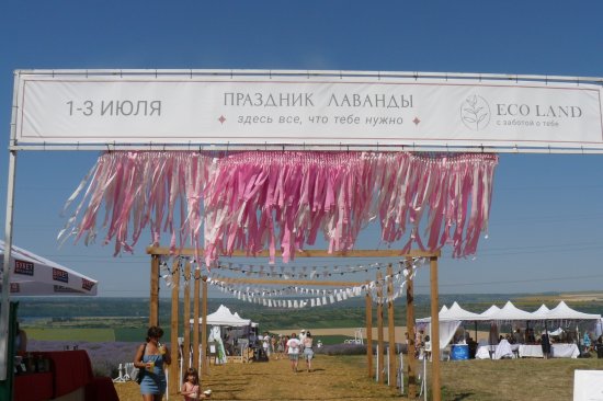 Лавандовый фестиваль в Дубоссарах - яркие нотки середины лета!
