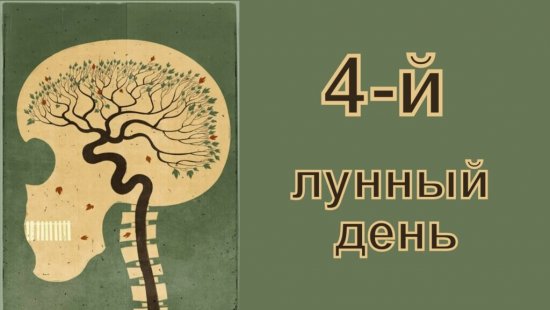 Астропрогноз на 26 августа 2025 года 🌙