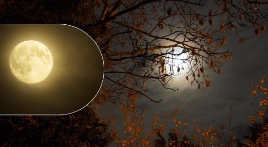 🌕 Урожайная Суперлуна: небесное шоу, которое нельзя пропустить