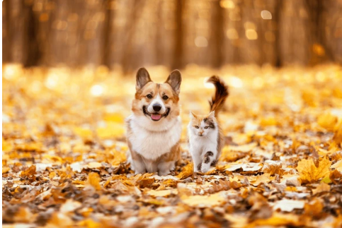 Пасмурно, но спокойно: вторник пройдёт в Молдове без осадков