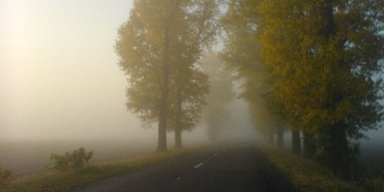 Пасмурное 6 ноября: прогноз погоды по регионам Молдовы