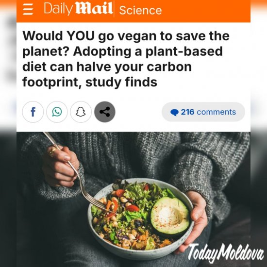 Веганство для планеты: как растительная диета сокращает ваш углеродный след вдвое