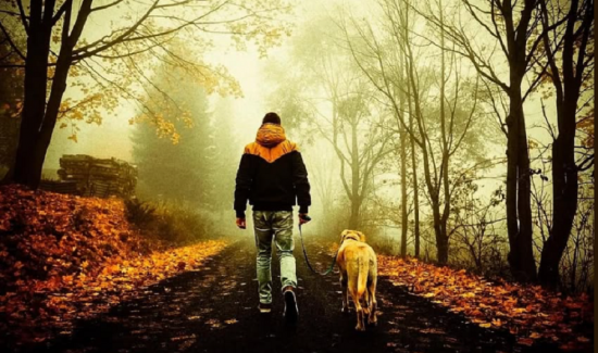 Туманное утро и тихий день: какая погода ждёт Молдову 3 декабря