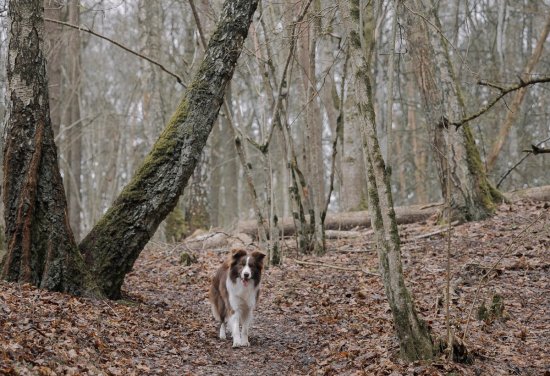 Погода на четверг, 4 декабря: тепло, пасмурно и почти без дождей