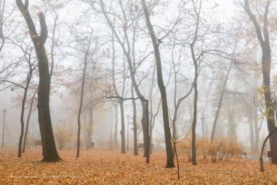 Прохлада, дождь и туман — так пройдет среда в Молдове
