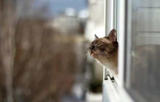 Погода 12 декабря: дождик, туман и немного солнца — Молдова встречает мягкую пятницу