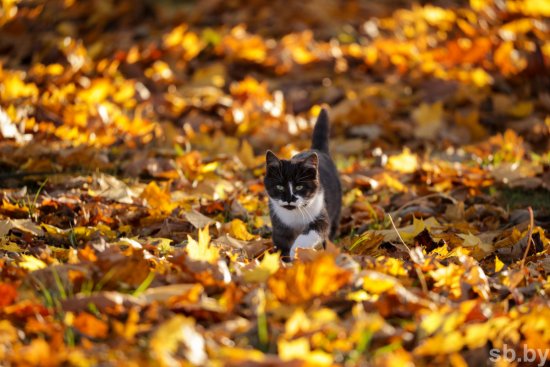 Погода 19 декабря будет совсем не зимняя