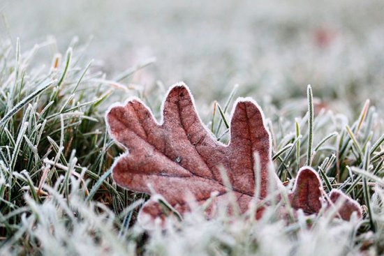 Погода в Молдове на сегодня, 2 января: спокойно днём и с сюрпризом к ночи