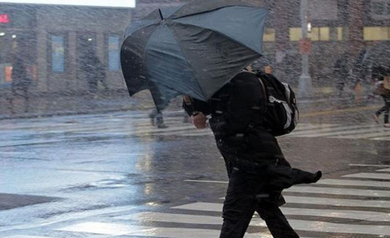 В Молдове объявлен «желтый код» из-за сильного ветра: порывы до 20 м/с