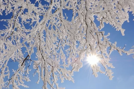 14 января: В Молдове - морозно, но красиво!