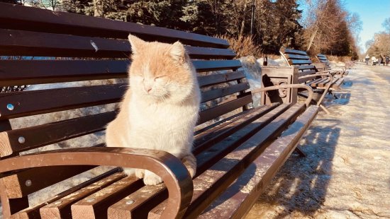 В Молдове 3 февраля - ясная и холодная погода