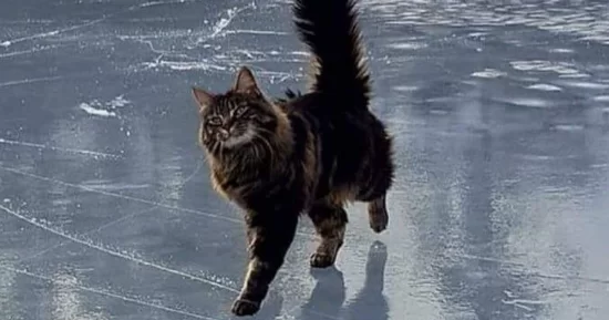 Погода в Молдове 4 февраля: смена температур, осадки и сложные дорожные условия