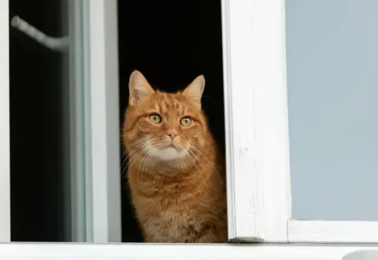 Плюс и днём, и ночью: погода в Молдове в 12 февраля