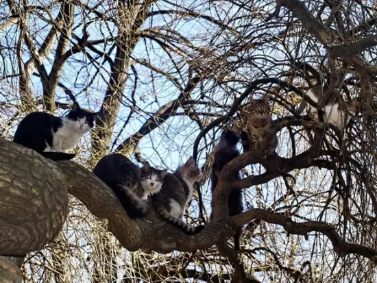 Молдову на выходные ожидает неустойчивая погода, в воскресение - дожди