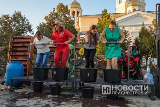 В Бендерской крепости на День города устроили давку винограда: кто получил приз